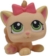 #1336 Kitten